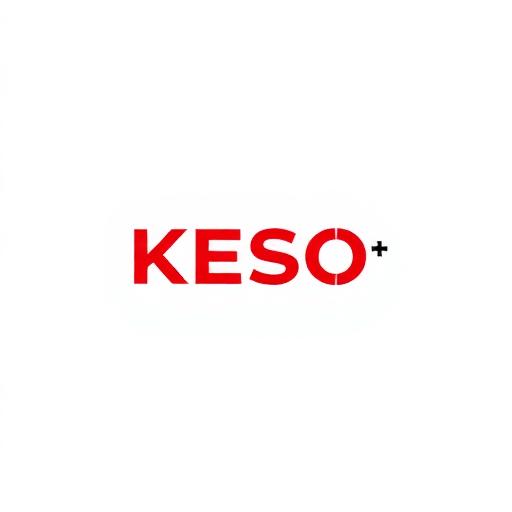 Logo de la marque de serrures KESO — cylindres adaptables de très haute sûreté SECURIER RB-LOCKS compatibles